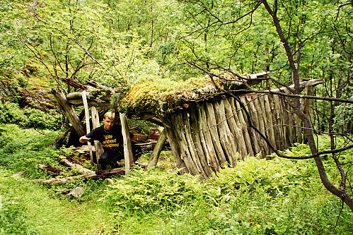 12.07.2002 - Nederst i Brendeteigen hadde denne koia (eller hva det nå har vært) sett sine bedre dager.