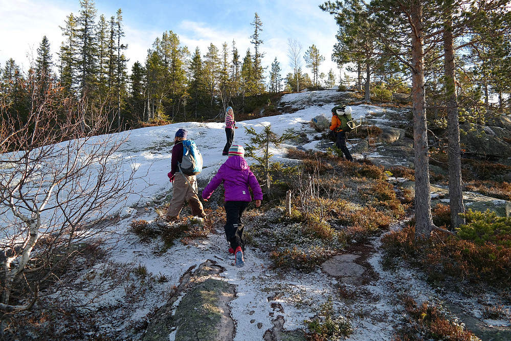 14.11.2015 - På stien oppover mot Andersnatten (733). Her er vi på rundt 600 meters høyde, og går nå sørøstover på ryggen mot toppen.