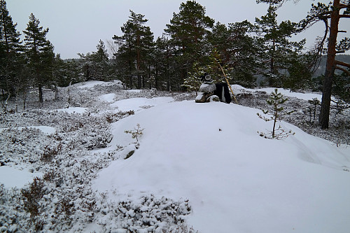 21.11.2015 - Toppvarden på Skroppfjell (527).