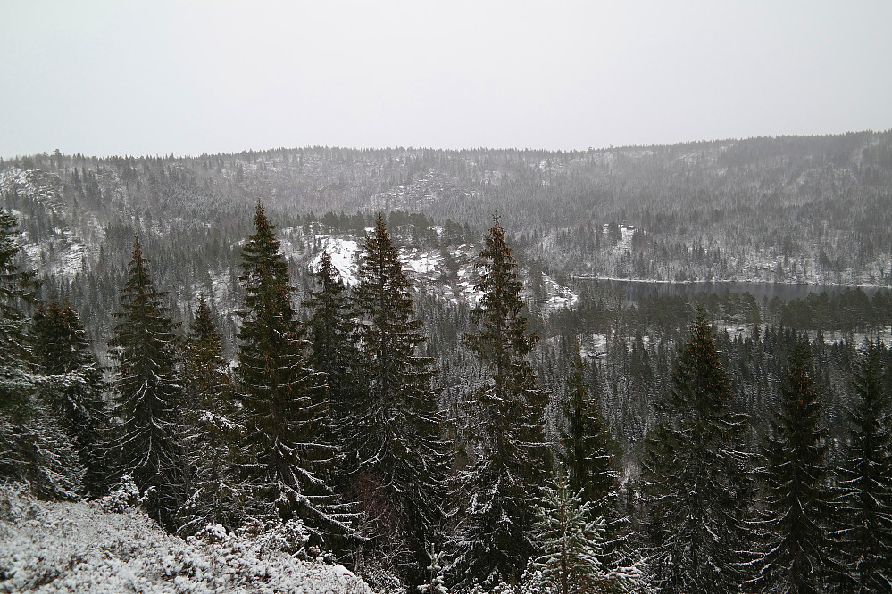 21.11.2015 - Hajeråsen (576) sett fra den bratte østsiden på Skroppfjell (527). Til høyre ses Uletjernet, med Reineseter beliggende litt ovenfor tjernet.