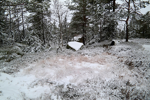 21.11.2015 - Toppen på Hajeråsen (576) er et eller annet sted her. Den svære steinen bakerst midt i bildet var aller høyest.