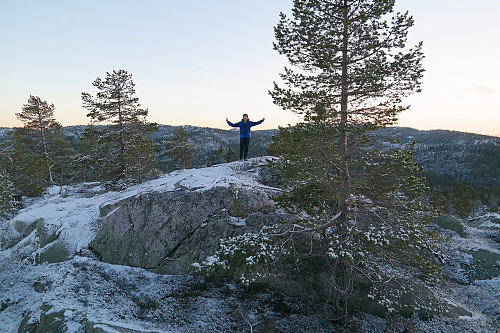 28.11.2015 - Endelig på toppen med det merkelige navnet - Lortegrauten (739). Sola har akkurat gått ned.