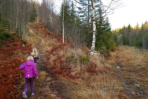 25.12.2015 - På bjørka til høyre henger skiltet som viser at "Berg-stien" går oppover til venstre. Denne stien leder opp til toppen på Sæteråsen (396).