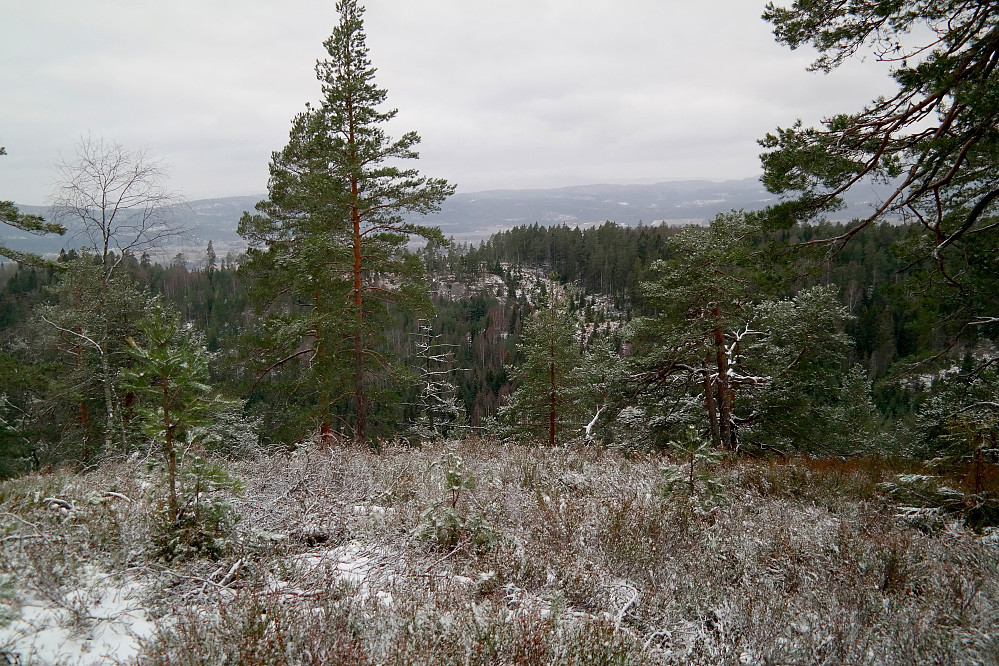 02.01.2016 - Jeg nærmer meg toppen på Bufjell (263) og ser tilbake mot Kiruddalsåsen (225), som er åsen midt i bildet.