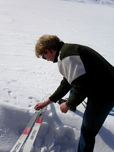 16.04.2003 - Fjerning av gammel skismøring før fellene klistres på.