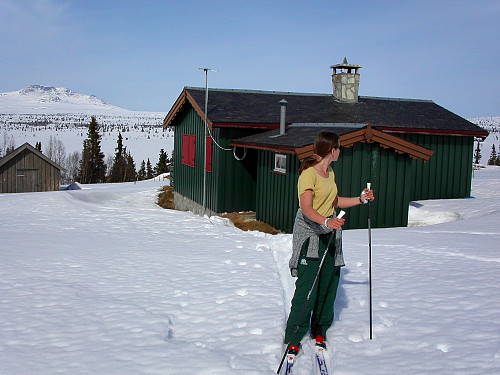 17.04.2003 - Grete på Yddestølen. I bakgrunnen til venstre er Skaget (1685), fjellet jeg beskuet mest i barndommen.