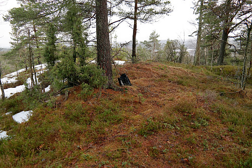 06.02.2016 - På Steingardåsen (125). Litt utsikt mot øst og sør.