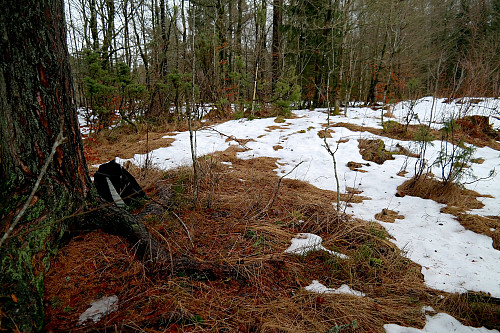 06.02.2016 - Toppunktet på Sør for Byåsen (129) er her et sted.