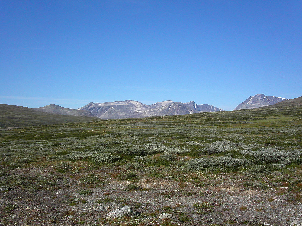 09.08.2003 - Dagens mål er foreløpig langt unna, sett fra grusveien til Maribu. Vi er ved bommen ovenfor Svånålegeret. Store Skredahøe (2004) er nokså midt i bildet.