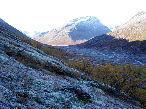 20.09.2003 - På vei oppover lia på østsiden av Visdalen, ca 2 km N/NØ for Spiterstulen, som skimtes i bakgrunnen, midt i bildet.