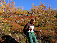 20.09.2003 - Fine høstfarger i Visdalen. Vi er ca 2 km N/NØ for Spiterstulen.
