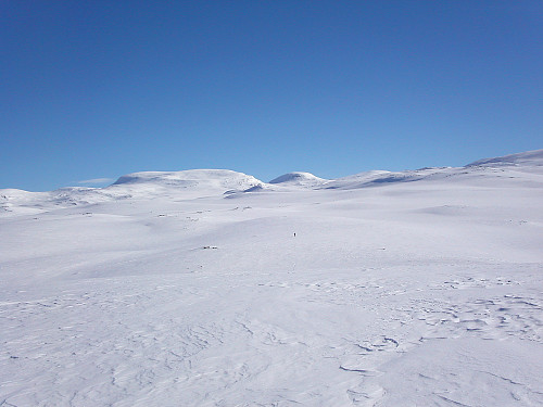 02.04.2004 - Gisle har gått i forveien og ses lenger framme sentralt i bildet. Herlige vidder å skli bortover på! Det store fjellet litt til venstre for midten er Blåhøe (1959). Den runde kollen langt bak midt i bildet, og rett over Gisle, er Gråhø (1945). Til høyre for sistnevnte er også dagens hovedmål, Gråhøe (2014), så vidt synlig.