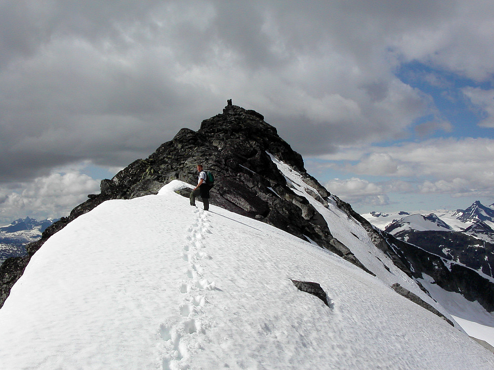 11.07.2004 - Ragnar oppe på ryggen litt øst for toppen av Skarddalseggje (2159), som nå ikke er langt unna i bakgrunnen.