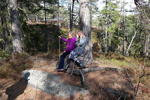 10.04.2016 - Frida og Julie på en furu som var fin å sitte på. Langs stien til Høgåsen (314), litt over halvveis fra start.