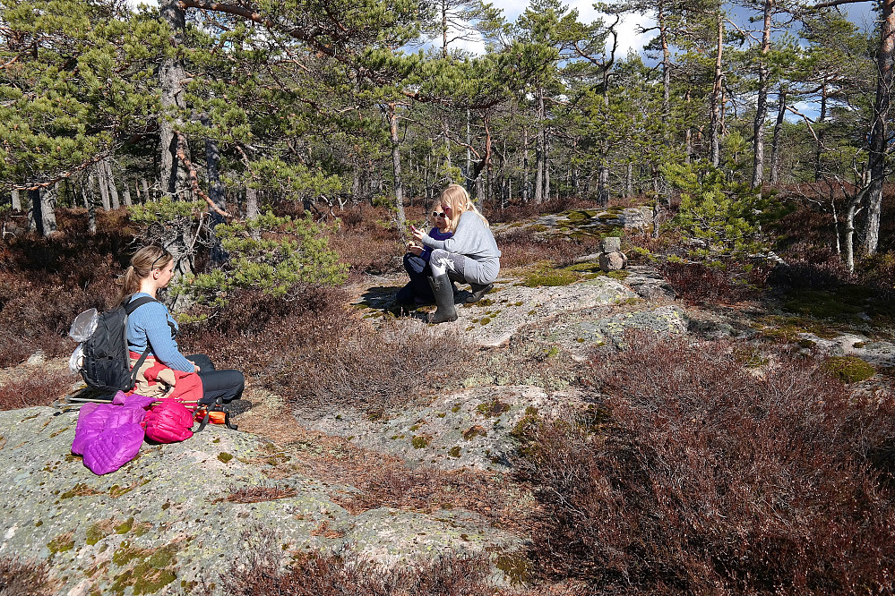 10.04.2016 - På toppen av Høgåsen (314). Den beskjedne toppvarden er til høyre for jentene.