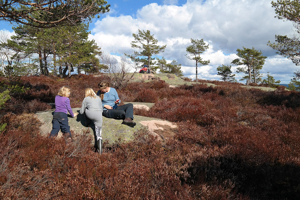 10.04.2016 - Ved utsiktspunktet (311 moh) sør på Høgåsen.