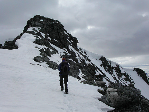 02.07.2005 - Trine vandrer mot Vestre Langvasstinden (2046). Den bratte hammeren ses som en svart vegg helt øverst.