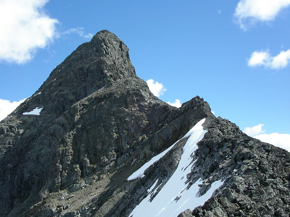 24.07.2005 - Store Rauddalseggje (2168) sett fra vestryggen, som snart smalner inn til en egg, og blir brattere. Hammeren vi omgikk på høyre side ses litt lenger framme der den store snøfonna slutter.