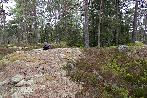 19.05.2016 - På toppen av Røysekollen (375).