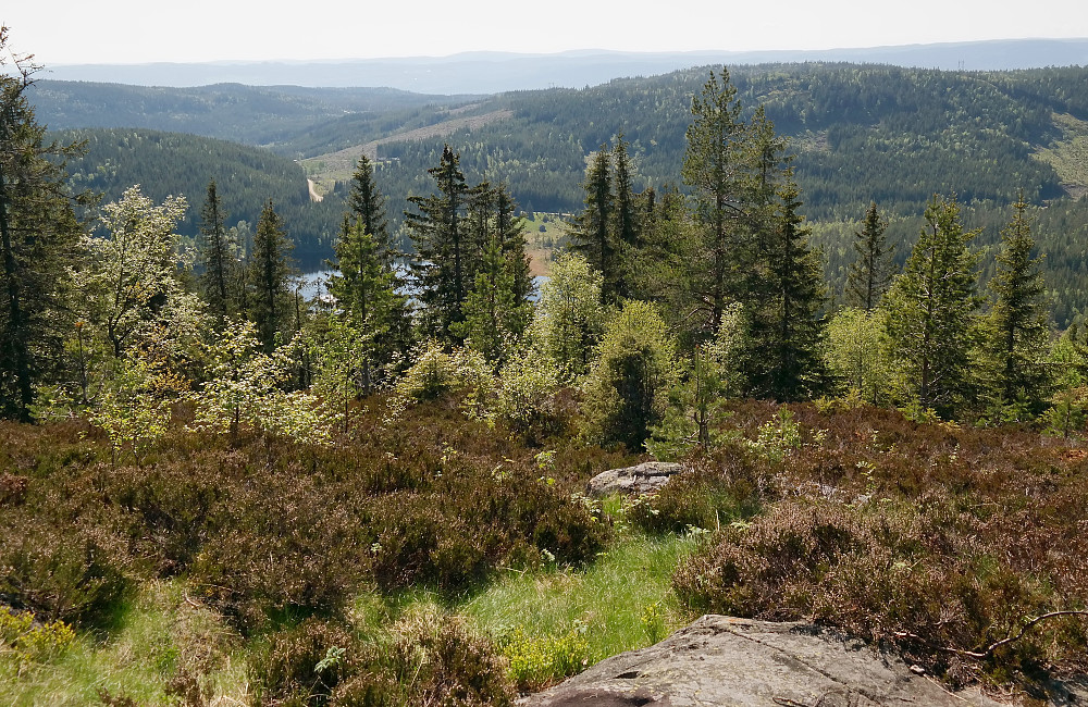 31.05.2016 - Utsikt mot sørvest fra Knukberget (612). Bilene sto parkert litt bakenfor veistubben man ser oppe til venstre. Åsen til høyre er Knukhøgda (580), som vi snart skulle kontrollmåle.