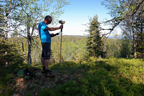 31.05.2016 - Første måling på Gransjøhøgda, som viste høyden 580.45 moh. Det skulle være noen cm høyere rundt 15 m lenger sør.