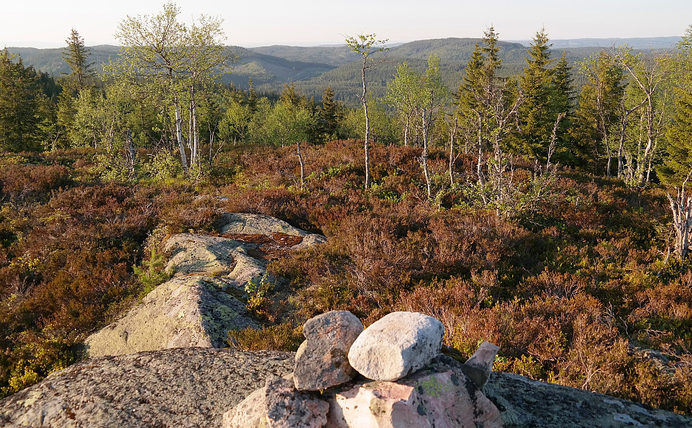 31.05.2016 - Utsikt fra det nordlige punktet (nesten 611 moh) på Grasberget (611). Den store åsen bak til høyre er Knukberget (612).