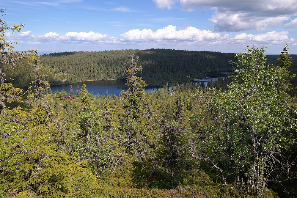 06.06.2016 - Utsikt østover fra Oftentjernshøgda (785). Høyeste ås midt i bildet er Hvervenberget (793). Innsjøen nedenfor er Herva.