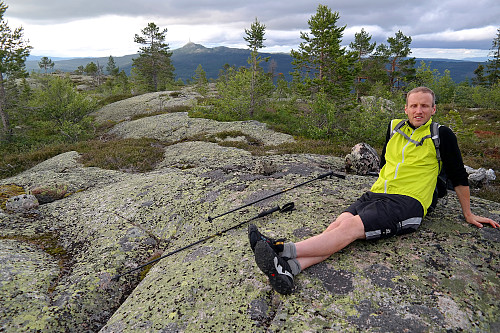 27.06.2016 - Flatere topp på Kolknutfjellet Øst (679). I bakgrunnen mellom trærne er Jonsknuten (904).