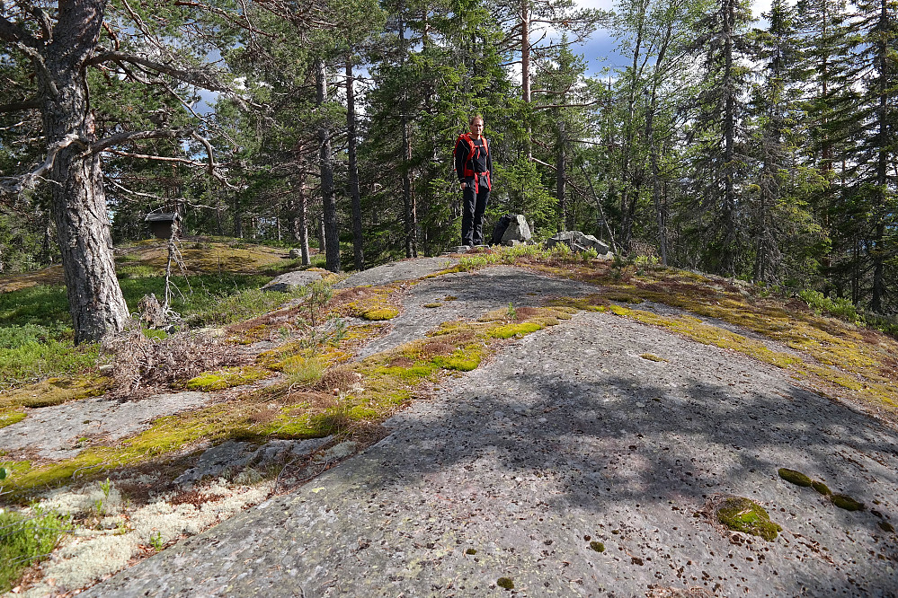 28.06.2016 - Øyvind ved toppvarden på Køyvingen (674). Lenger bak til venstre står masta hvor høyeste punkt er markert på kartet.