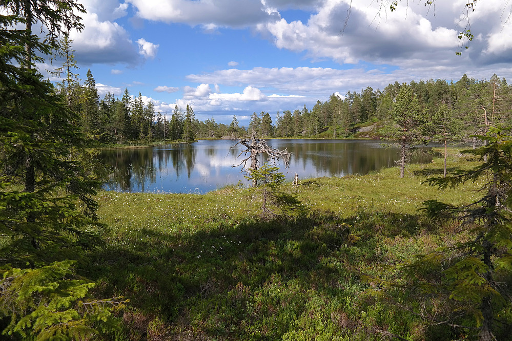 28.06.2016 - Det vakre og idylliske tjernet mellom Køyvingen/Dagalinatten (674) og Seljordvarden (673). Dette ligger nord for der vi gikk.