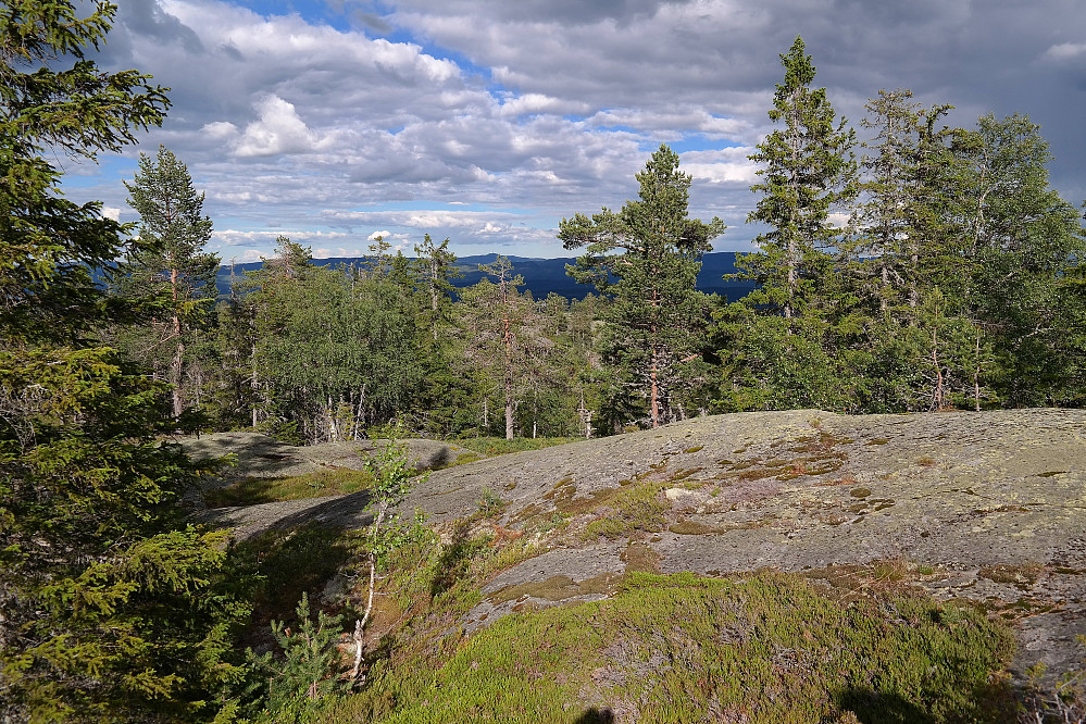28.06.2016 - På Seljordvarden (673). Bildet er tatt østover. Langt i det fjerne kan Jonsknuten (904) skimtes midt i bildet.