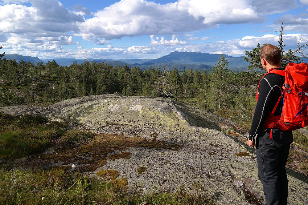 28.06.2016 - Øyvind skuer nordover fra et fint utsiktspunkt litt nord for Seljordvarden (673). I bakgrunnen til høyre er Blefjell.