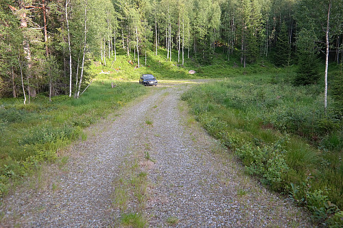 28.06.2016 - Mot snuplassen ved Myrastul. I krattet ved bilen hadde trolig alt av knott på Køyvingen samlet seg for å vente på oss.