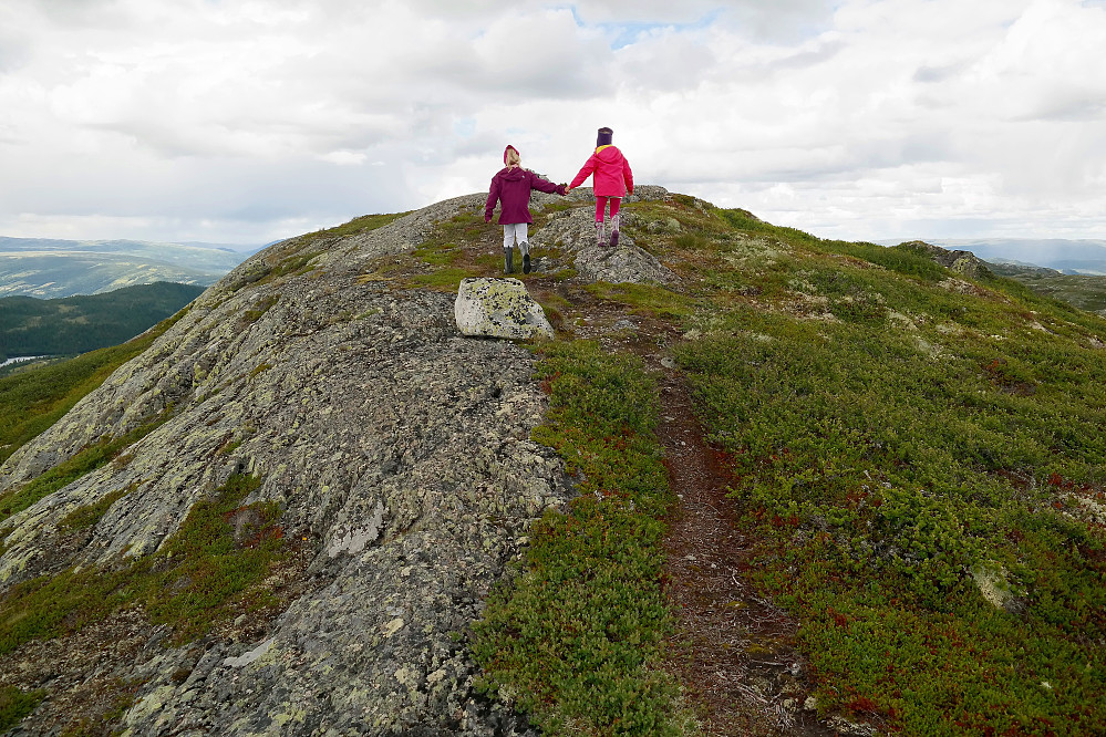 04.07.2016 - To søstre hånd i hånd de siste meterne bort til toppvarden på Brennatten (1213).
