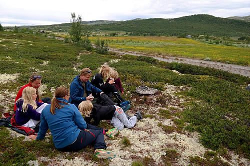 10.07.2016 - Pause i lyngen ved Brostrudsætre. Den skogkledde kollen bak til høyre er Vedahovda (1134).