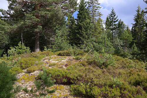 15.07.2016 - På toppen av Seteråsen (354).