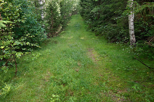 15.07.2016 - Ingen sak å gå tur når veien/stien er slik. Behagelig for beina dette. Jeg går her nedover traktorveien i nordsiden på Seteråsen (354).
