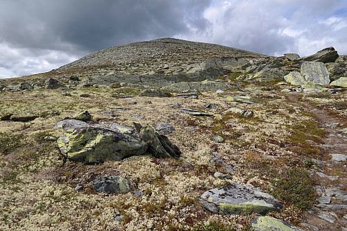 29.07.2016 - Oppover østryggen på Storkuva (1451). Grete og noen av barna kan skimtes oppi bakken litt til høyre for midten.