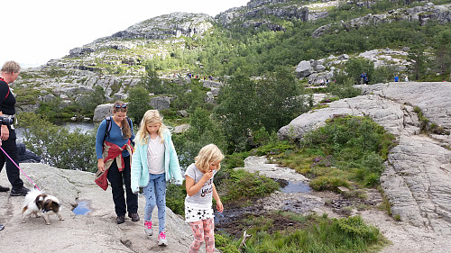 06.08.2016 - På stien til Preikestolen, på strekningen langs nord- og nordvestsiden på Neverdalsfjellet (706).