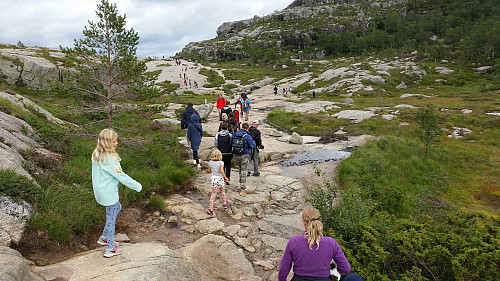 06.08.2016 - På stien til Preikestolen, på strekningen langs nord- og nordvestsiden på Neverdalsfjellet (706).