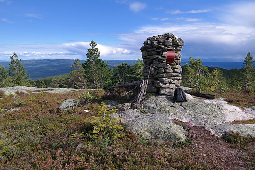 Toppvarden på Flæa (682). Bildet tatt mot SØ.