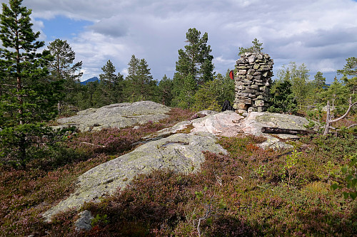 Toppvarden på Flæa (682). Bildet tatt nordover. Toppen som stikker opp langt bak til venstre, er Hestgjuvnatten (1068).