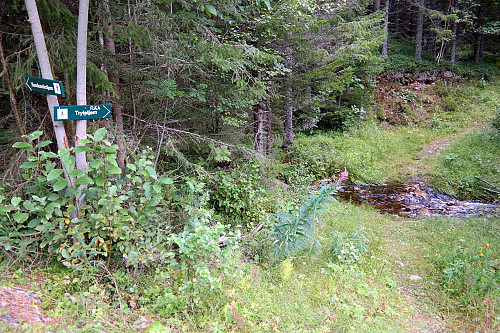 Stidele ved Gorobakkan. Der grusveien slutter går stien til Flæa (682) og Trytetjenn til høyre over bekken. Opp til venstre og utenfor bildet går en traktorvei/sti mot Sundesetertjenn.