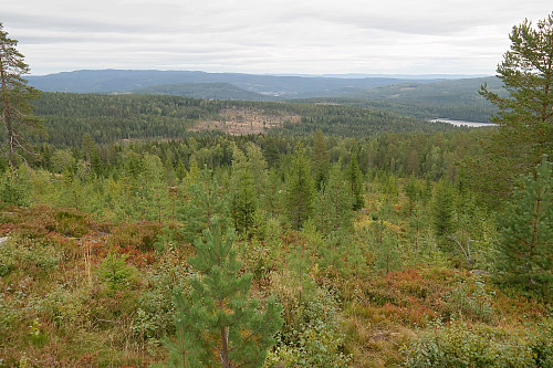 Jeg ser nedover der jeg nettopp hadde gått opp. Her mistet jeg traktorveien og stien jeg fulgte oppover. Utsikt mot øst.