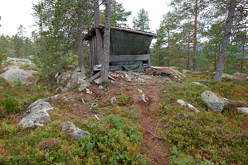 En gapahuk like ved toppen av Røvsåhøgda (575).