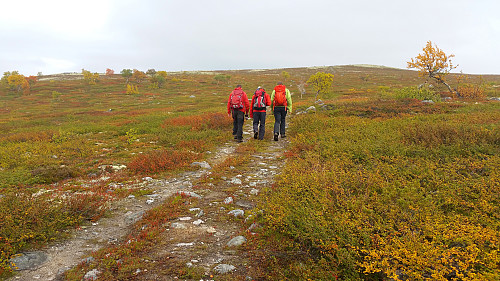 Geir Arne, Chris og Øyvind forlater skogen og er snart på snaufjellet.