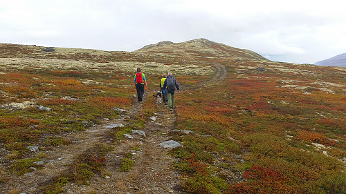 Uppnosi (1294) og masta på toppen har kommet til syne. Venke Kristin, Anne og Finn på vandring mot dagens mål.