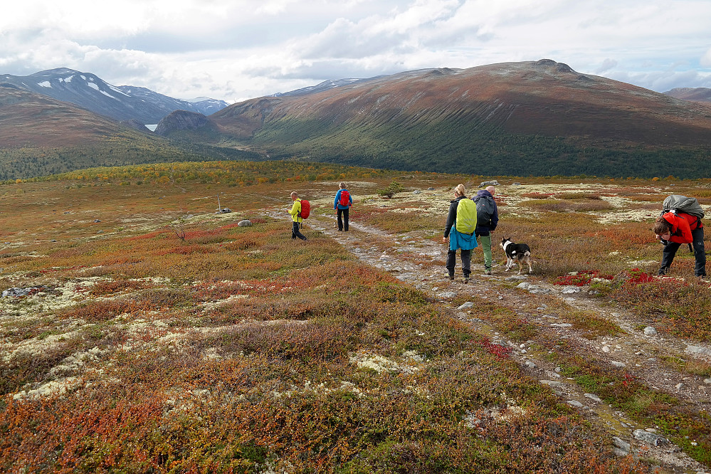 Fra returen. Traktorveien vi går på forsvinner ned i skogen til venstre, hvor bilene sto parkert omtrent på ryggens laveste sted, på Bråtååsen.