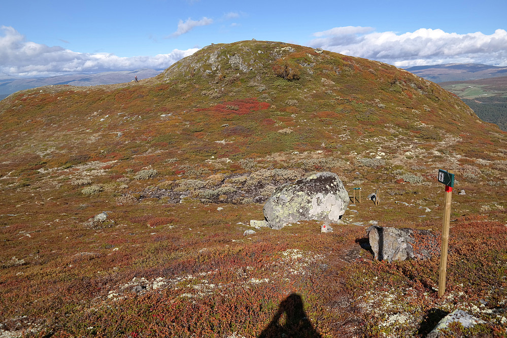 Høstfarger på den lille haugen Gråhøe Nordvest (1193). Mannen som ses til venstre på vei opp mot toppen, snakket jeg med senere da jeg var ved varden på Gråhøe (1290). Som man ser i forgrunnen til høyre, er det også her godt skiltet mot Gråhøe (1290).