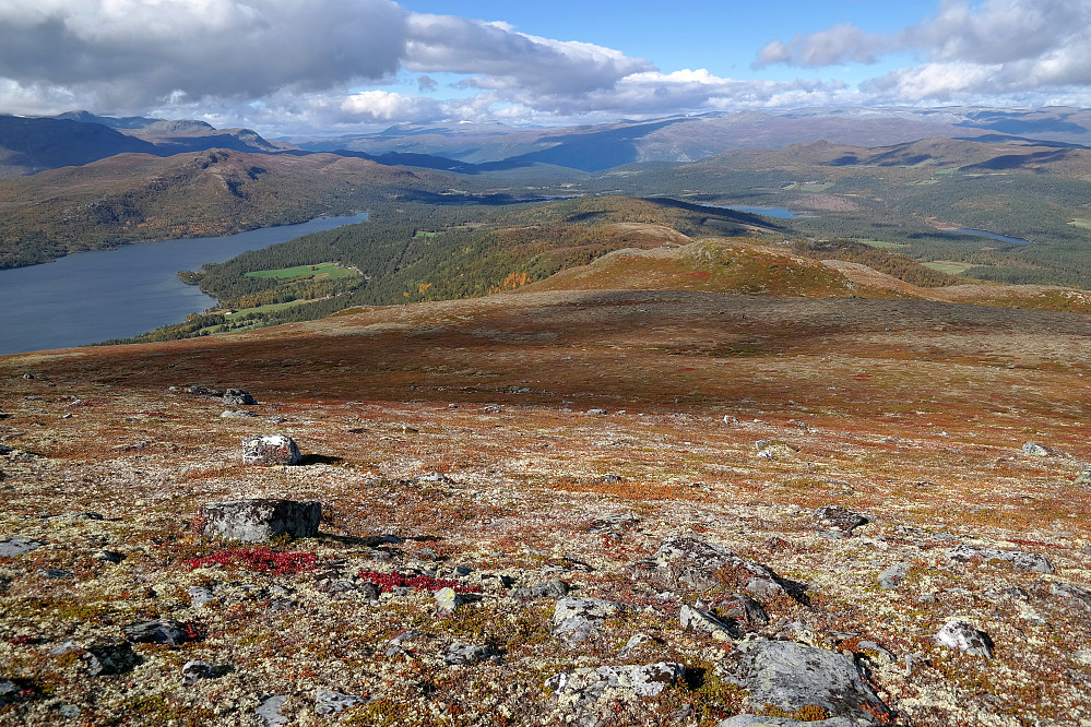 På vei nedover nordvestsiden på Gråhøe (1290). Bilen sto parkert langs veien ved de grønne jordene nedenfor til venstre. Lemonsjøen er helt til venstre i bildet. 